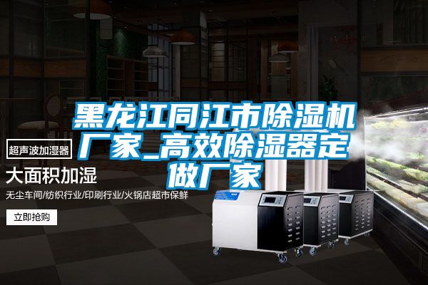 黑龍江同江市除濕機(jī)廠(chǎng)家_高效除濕器定做廠(chǎng)家