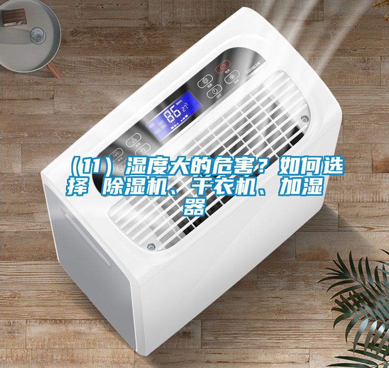 （11）濕度大的危害？如何選擇 除濕機(jī)、干衣機(jī)、加濕器