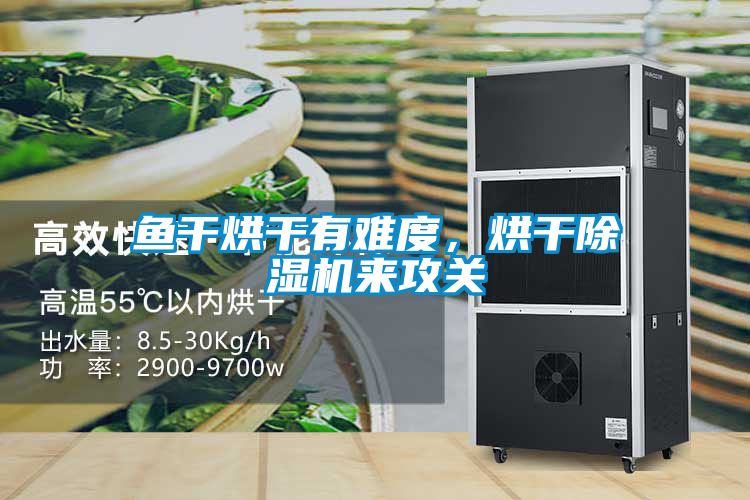 魚(yú)干烘干有難度，烘干除濕機(jī)來(lái)攻關(guān)