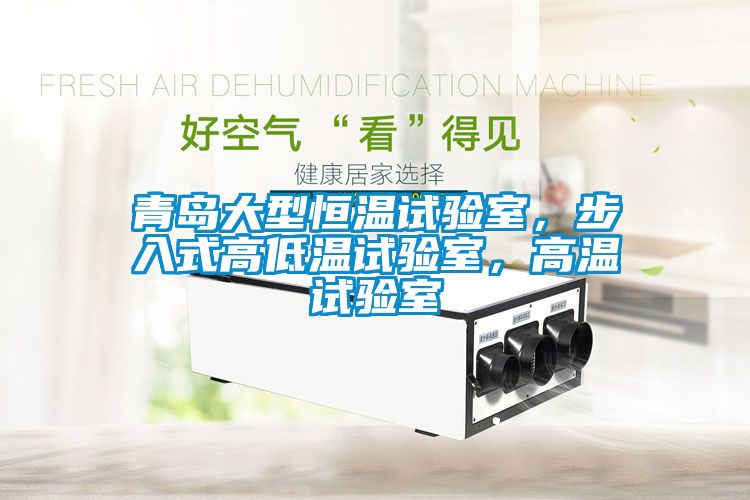 青島大型恒溫試驗室，步入式高低溫試驗室，高溫試驗室