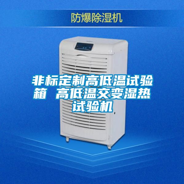 非標(biāo)定制高低溫試驗箱 高低溫交變濕熱試驗機(jī)