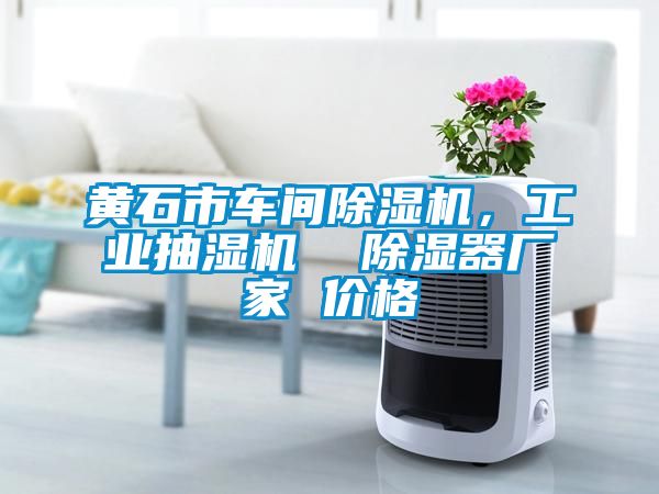 黃石市車間除濕機，工業(yè)抽濕機  除濕器廠家 價格