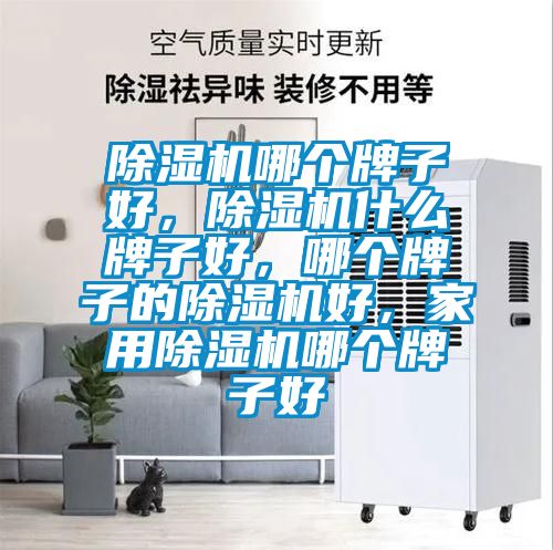 除濕機(jī)哪個(gè)牌子好，除濕機(jī)什么牌子好，哪個(gè)牌子的除濕機(jī)好，家用除濕機(jī)哪個(gè)牌子好