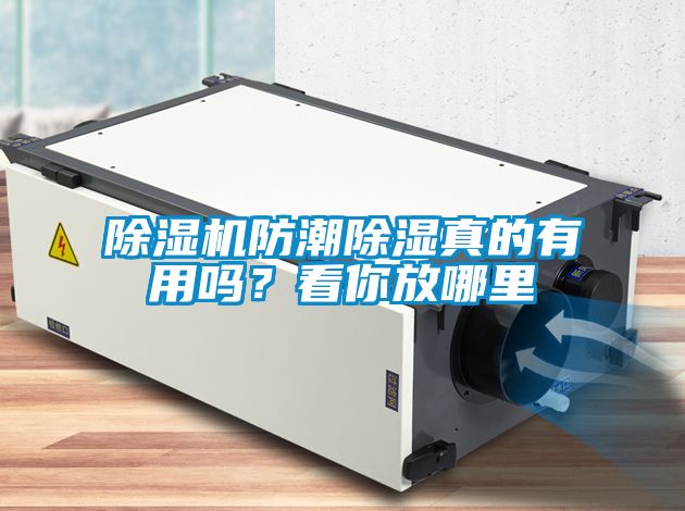 除濕機防潮除濕真的有用嗎？看你放哪里