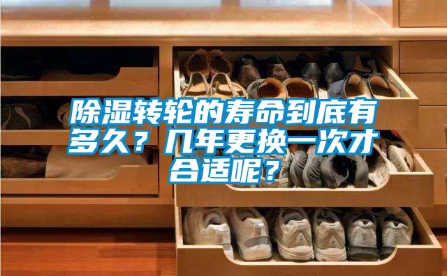 除濕轉(zhuǎn)輪的壽命到底有多久？幾年更換一次才合適呢？