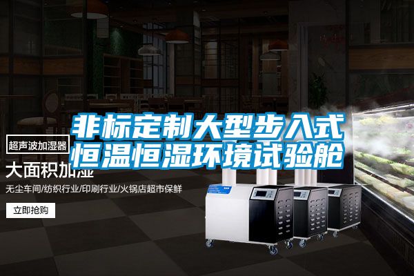 非標定制大型步入式恒溫恒濕環(huán)境試驗艙