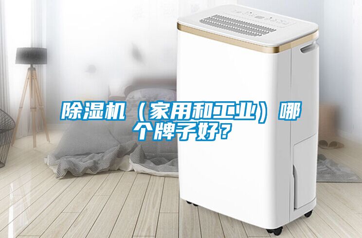 除濕機(jī)（家用和工業(yè)）哪個(gè)牌子好？