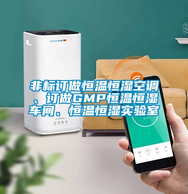 非標訂做恒溫恒濕空調(diào)、訂做GMP恒溫恒濕車間、恒溫恒濕實驗室
