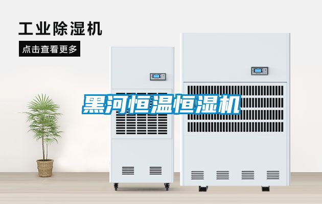 黑河恒溫恒濕機
