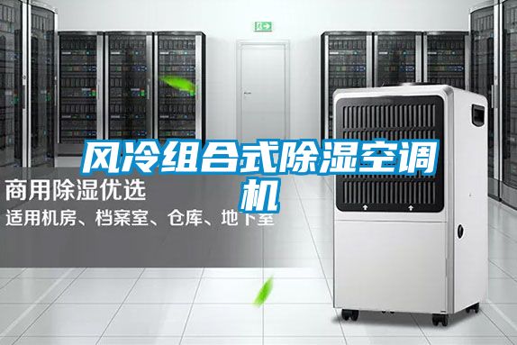 風冷組合式除濕空調(diào)機