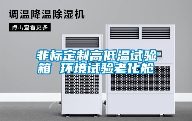 非標定制高低溫試驗箱 環(huán)境試驗老化艙