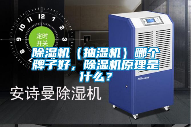 除濕機（抽濕機）哪個牌子好，除濕機原理是什么？