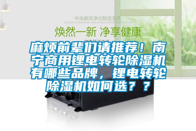 麻煩前輩們請(qǐng)推薦！南寧商用鋰電轉(zhuǎn)輪除濕機(jī)有哪些品牌，鋰電轉(zhuǎn)輪除濕機(jī)如何選？？