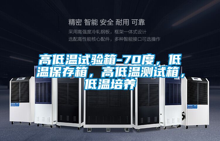高低溫試驗(yàn)箱-70度，低溫保存箱，高低溫測試箱，低溫培養(yǎng)