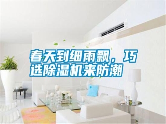 行業(yè)新聞春天到細(xì)雨飄，巧選除濕機(jī)來防潮