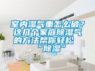 企業(yè)新聞室內(nèi)濕氣重怎么破？這幾個(gè)家庭除濕氣的方法幫你輕松“除濕”