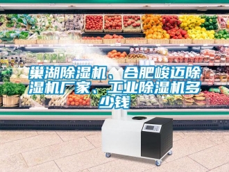 企業(yè)新聞巢湖除濕機、合肥峻邁除濕機廠家、工業(yè)除濕機多少錢