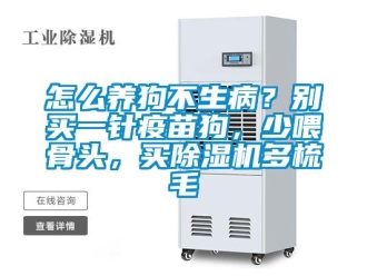 行業(yè)新聞怎么養(yǎng)狗不生?。縿e買一針疫苗狗，少喂骨頭，買除濕機(jī)多梳毛
