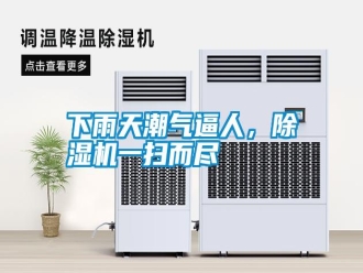 知識百科下雨天潮氣逼人，除濕機一掃而盡