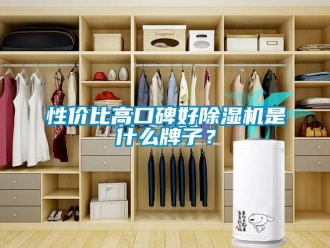 行業(yè)新聞性價(jià)比高口碑好除濕機(jī)是什么牌子？