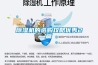 除濕機(jī)的選購(gòu)攻略?xún)?yōu)秀2篇