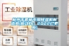 杭州手套箱專(zhuān)用除濕機(jī)制造商(新動(dòng)向：2022已更新)