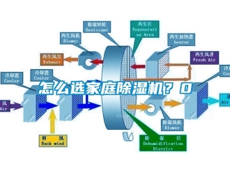 行業(yè)新聞怎么選家庭除濕機(jī)？0