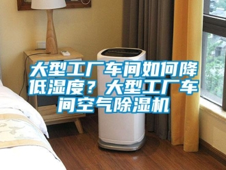 企業(yè)新聞大型工廠車間如何降低濕度？大型工廠車間空氣除濕機