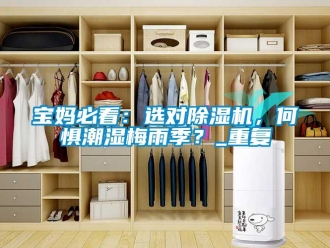 企業(yè)新聞寶媽必看：選對(duì)除濕機(jī)，何懼潮濕梅雨季？_重復(fù)
