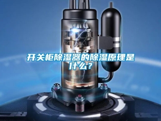 行業(yè)新聞開關柜除濕器的除濕原理是什么？