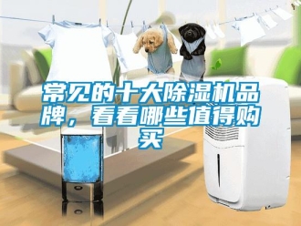 企業(yè)新聞常見的十大除濕機品牌，看看哪些值得購買