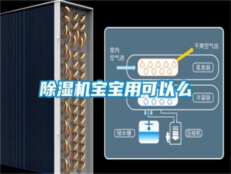 行業(yè)新聞除濕機(jī)寶寶用可以么