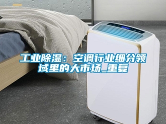 企業(yè)新聞工業(yè)除濕：空調(diào)行業(yè)細(xì)分領(lǐng)域里的大市場(chǎng)_重復(fù)