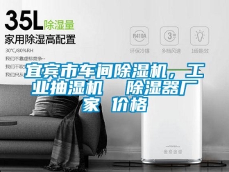 企業(yè)新聞宜賓市車間除濕機，工業(yè)抽濕機  除濕器廠家 價格