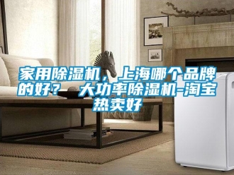 企業(yè)新聞家用除濕機(jī)，上海哪個品牌的好？ 大功率除濕機(jī)-淘寶熱賣好