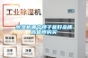 除濕機(jī)哪個(gè)牌子最好品質(zhì)高值得購(gòu)買(mǎi)