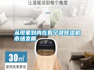 知識(shí)百科從現(xiàn)象到內(nèi)在看寧波除濕機(jī)市場發(fā)展