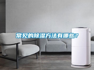 企業(yè)新聞常見的除濕方法有哪些？