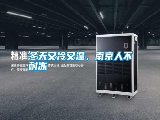 行業(yè)新聞冬天又冷又濕，南京人不耐凍
