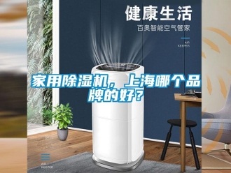 企業(yè)新聞家用除濕機(jī)，上海哪個品牌的好？