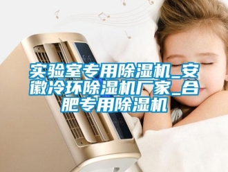 企業(yè)新聞實(shí)驗(yàn)室專(zhuān)用除濕機(jī)_安徽冷環(huán)除濕機(jī)廠家_合肥專(zhuān)用除濕機(jī)