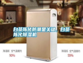 行業(yè)新聞白茶陳化防潮是關(guān)鍵，白茶陳化除濕機