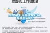 除濕機十大品牌排行榜，有哪些品牌？