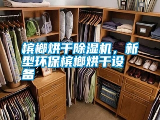 行業(yè)新聞檳榔烘干除濕機(jī)，新型環(huán)保檳榔烘干設(shè)備