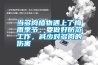 當(dāng)多肉植物遇上了梅雨季節(jié)，要做好防范工作，減少對(duì)多肉的傷害