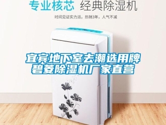 企業(yè)新聞宜賓地下室去潮選用牌碧菱除濕機廠家直營