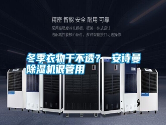 行業(yè)新聞冬季衣物干不透？ 安詩曼除濕機很管用