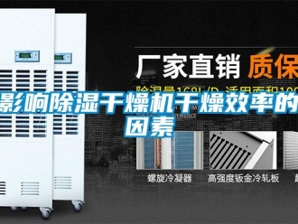行業(yè)新聞影響除濕干燥機干燥效率的因素