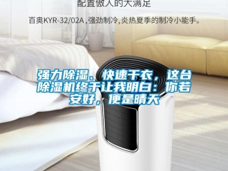 行業(yè)新聞強(qiáng)力除濕、快速干衣，這臺除濕機(jī)終于讓我明白：你若安好，便是晴天