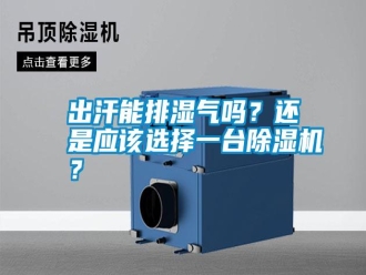 知識百科出汗能排濕氣嗎？還是應(yīng)該選擇一臺除濕機？